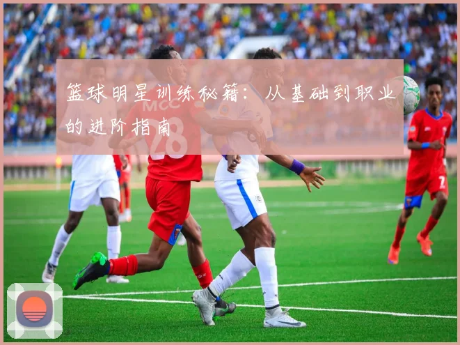 篮球明星训练秘籍：从基础到职业的进阶指南