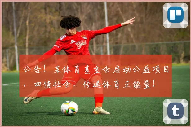 公告！某体育基金会启动公益项目，回馈社会，传递体育正能量！